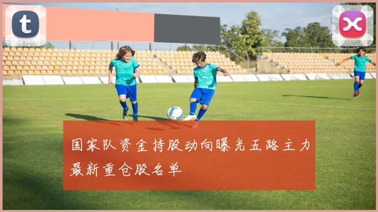 国家队资金持股动向曝光五路主力最新重仓股名单